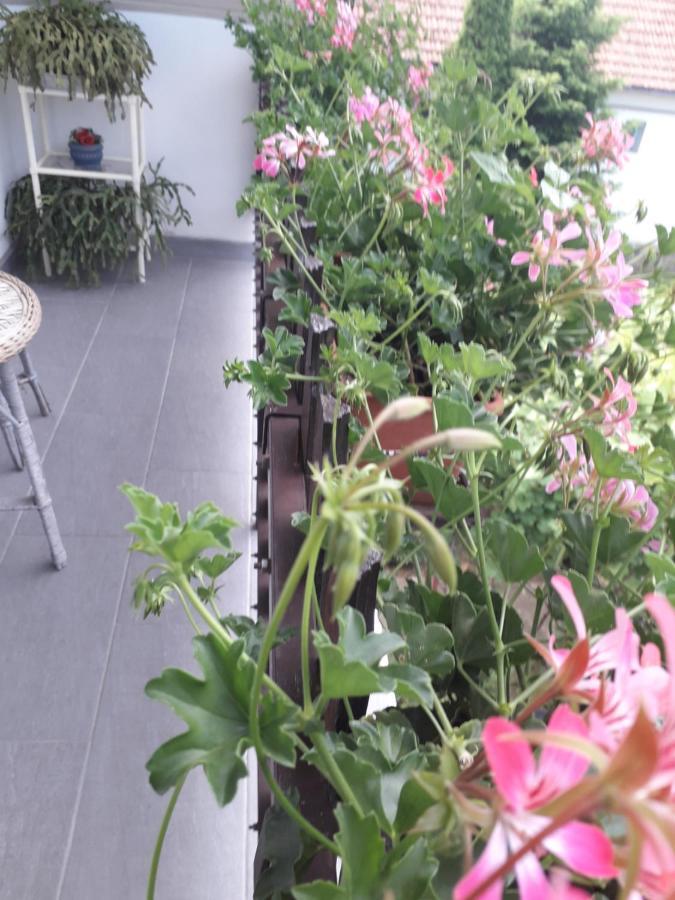 Nagy Haz Apartment Szabadkigyos ภายนอก รูปภาพ